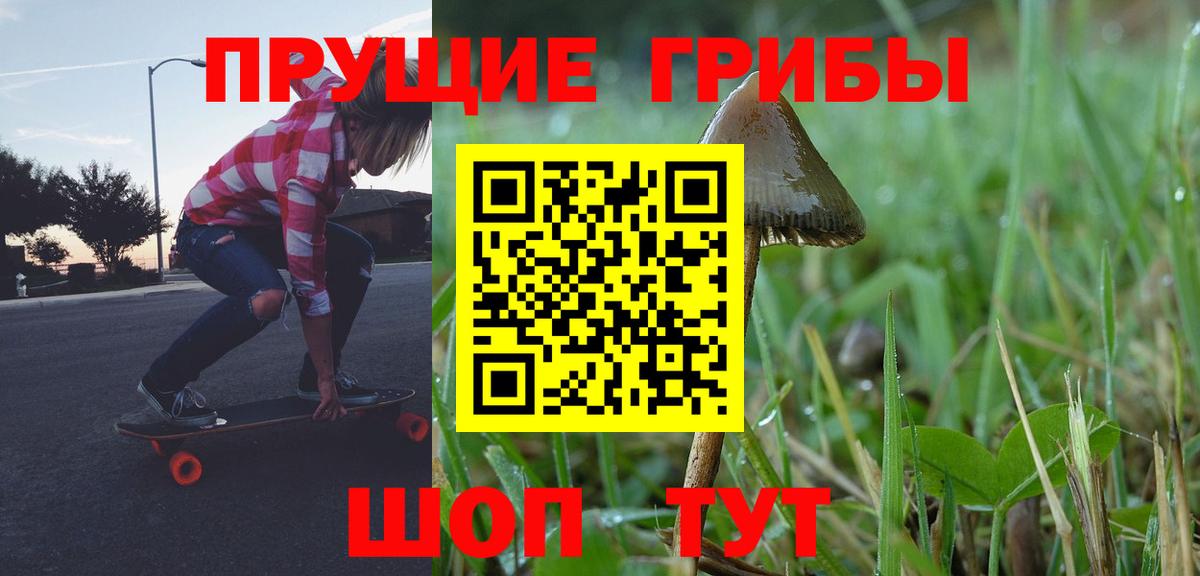 Галлюциногенные грибы Psilocybe Абинск